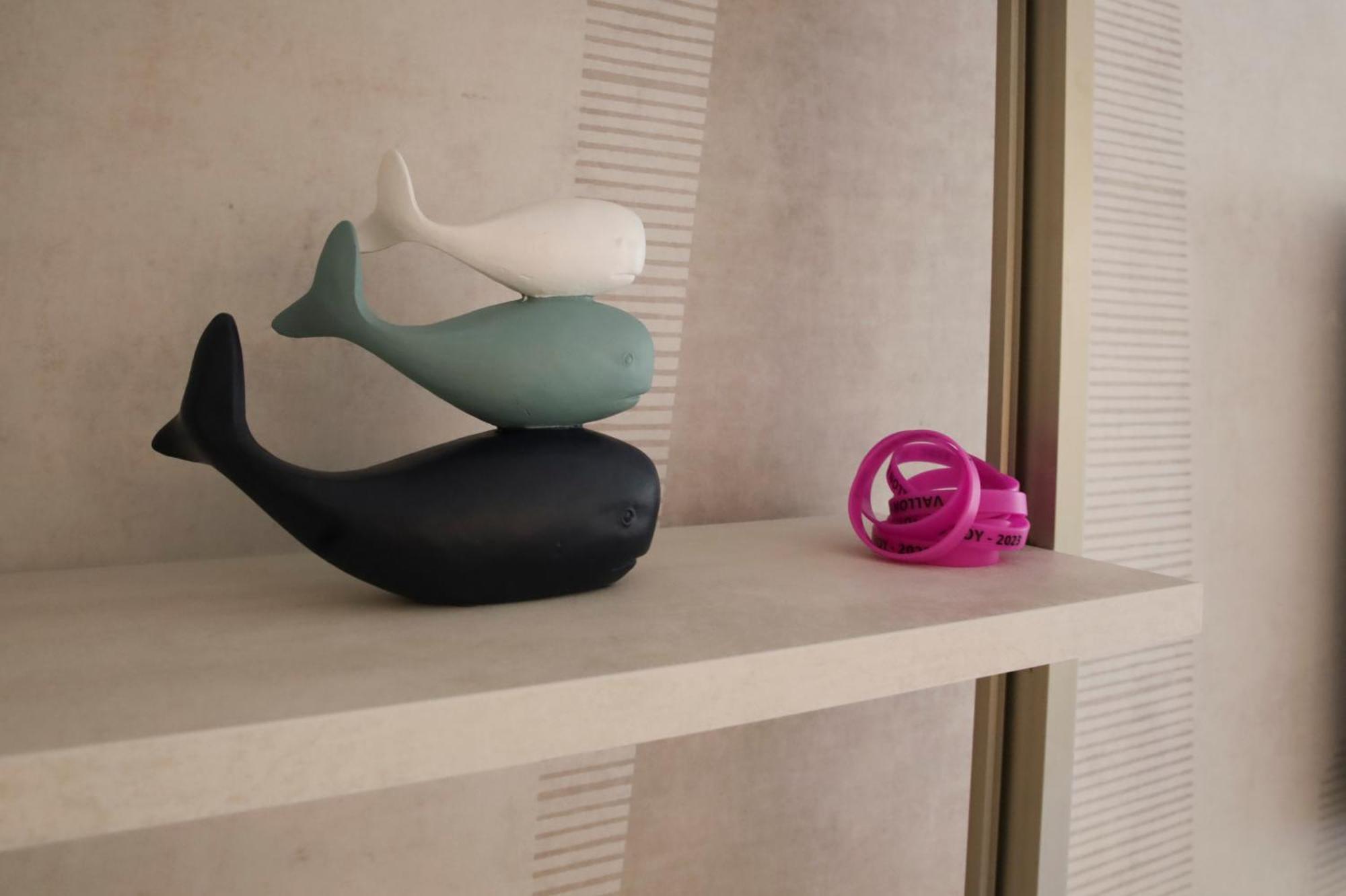 Appartement Piscine Tennis Acces Prive Plage Joia ซานารี-ซูร์-แมร์ ภายนอก รูปภาพ